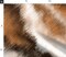 Black White Orange Animal Print Fur Calico Cat Hair Watercolor Pencil Large Scale Custom Printed Fabric by Spoonflower Various Fabrics by the Yard or Fat Quarter